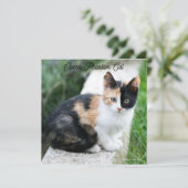 オペラファントム猫 (スタンド正面)