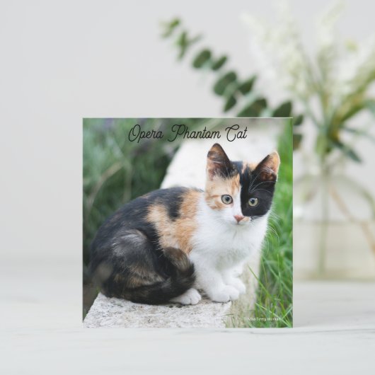 オペラファントム猫 (スタンド正面)