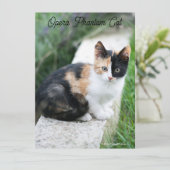 オペラファントム猫 (スタンド正面)