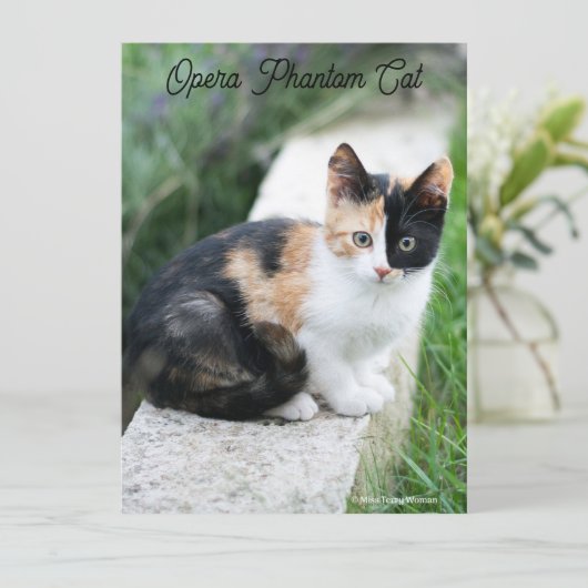 オペラファントム猫 (スタンド正面)