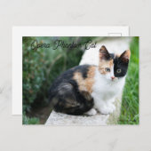 オペラファントム猫 インビテーションポストカード (正面/裏面)