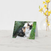 オペラファントム猫 カード (黄色い花)