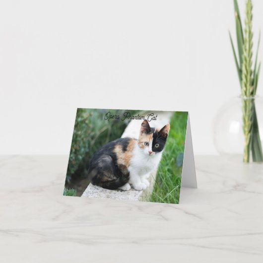 オペラファントム猫 カード (正面)