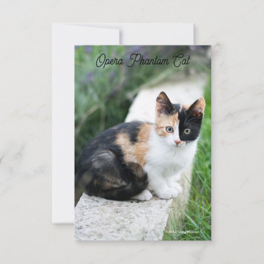 オペラファントム猫 サンキューカード (正面)