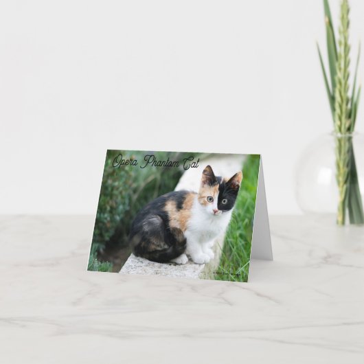 オペラファントム猫 サンキューカード (正面)