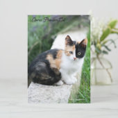 オペラファントム猫 セーブザデート (スタンド正面)