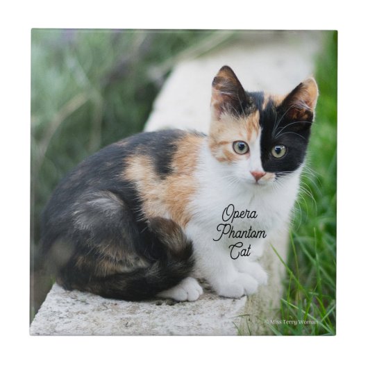 オペラファントム猫 タイル (正面)