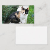 オペラファントム猫 ノートカード (正面/裏面)
