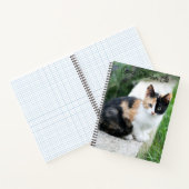 オペラファントム猫 ノートブック (内部)