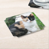 オペラファントム猫 ペーパーコースター (アングル)