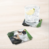 オペラファントム猫 ペーパーコースター (インサイチュ)