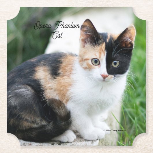 オペラファントム猫 ペーパーコースター (正面)