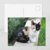 オペラファントム猫 ポストカード (正面/裏面)
