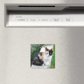 オペラファントム猫 マグネット (インサイチュ (食洗機))