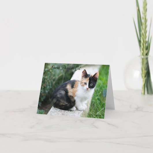 オペラファントム猫 招待状 (正面)