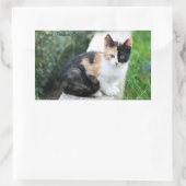 オペラファントム猫 長方形シール (バッグ)