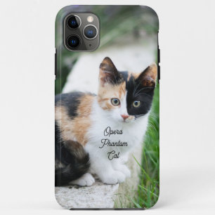 オペラファントム猫 iPhone 11 PRO MAXケース
