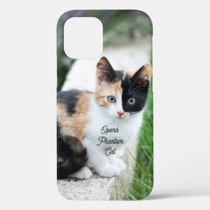 オペラファントム猫 iPhone 12ケース