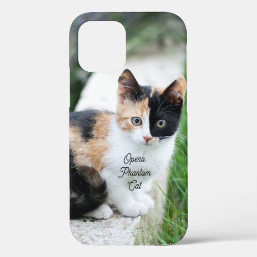 オペラファントム猫 Case-Mate iPhoneケース (裏面)
