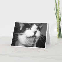 オペラ子猫誕生日カード