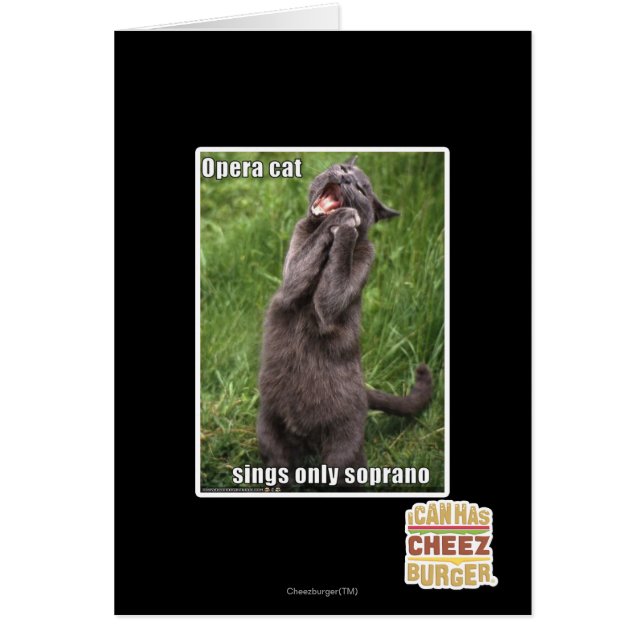 オペラ猫 (正面)