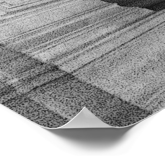 オペラ階段 ポスター (角)