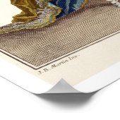 オペラ「パエトン」のアポロの衣装、彫刻 ポスター (角)