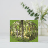 オボエ森林 ポストカード (スタンド正面)