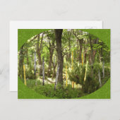 オボエ森林 ポストカード (正面/裏面)