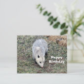 オポッサムの写真の誕生日 ポストカード (スタンド正面)