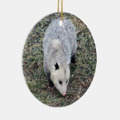 オポッサム写真 セラミックオーナメント (右)