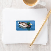 オマダック住所 シール (インサイチュ)