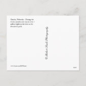 オマハネブラスカのクリスマスの照明 シーズンポストカード (裏面)