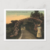 オマハネブラスカ1913ハンスコムパークヴィンテージ ポストカード (正面)