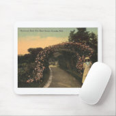 オマハネブラスカ1913ハンスコムパークヴィンテージ マウスパッド (マウス)