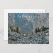 オマンジャバルシャムスハガキ ポストカード (正面/裏面)