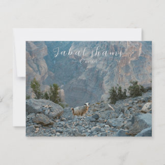 オマンジャバルシャムスハガキ ポストカード