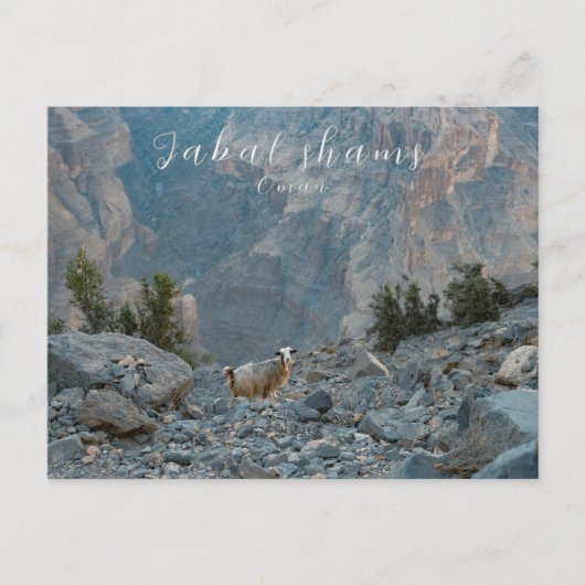 オマンジャバルシャムスハガキ ポストカード (正面)