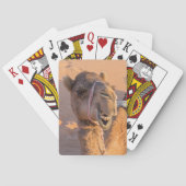 オマーンおもしろいワヒバ砂漠のラクダの上に閉じる トランプ (裏面)