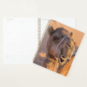 オマーンおもしろいワヒバ砂漠のラクダの上に閉じる プランナー手帳 (ディスプレー)