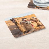 オマーンおもしろいワヒバ砂漠のラクダ スクエアペーパーコースター (アングル)