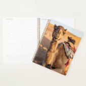 オマーンおもしろいワヒバ砂漠のラクダ プランナー手帳 (ディスプレー)