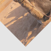 オマーンおもしろいワヒバ砂漠のラクダ 薄葉紙 (詳細)