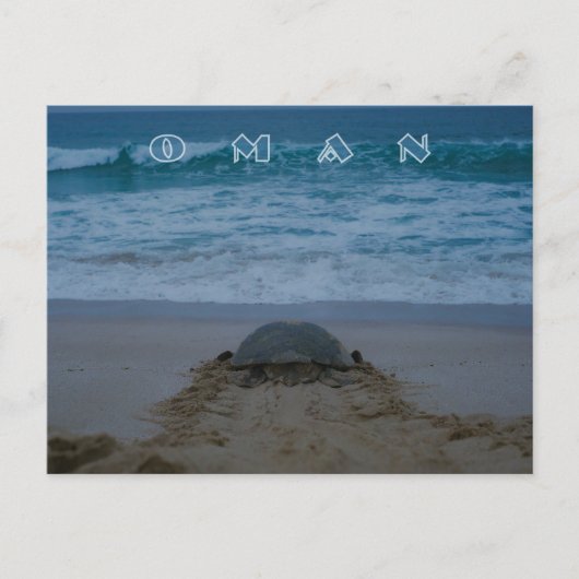 オマーンかめ葉書 ポストカード (正面)