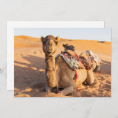 オマーンの砂漠でのラクダのクローズアップ 招待状 (正面/裏面)