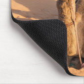 オマーンの砂漠でラクダをクローズアップ マウスパッド (コーナー)