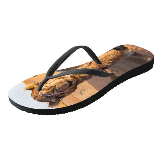 オマーンの砂漠のラクダ ビーチサンダル (アングル)