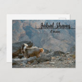 オマーンはがきジャバルシャムス ポストカード (正面/裏面)