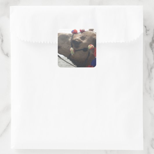 オマーンマスカットラクメルフォトアートプリント スクエアシール (バッグ)