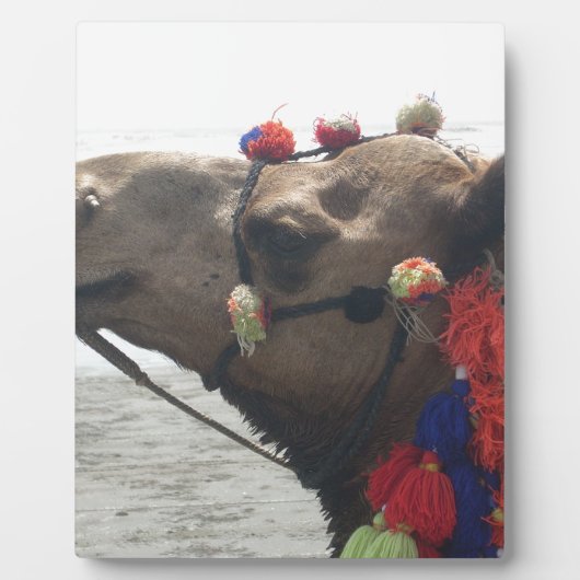 オマーンマスカットラクメルフォトアートプリント フォトプラーク (正面)